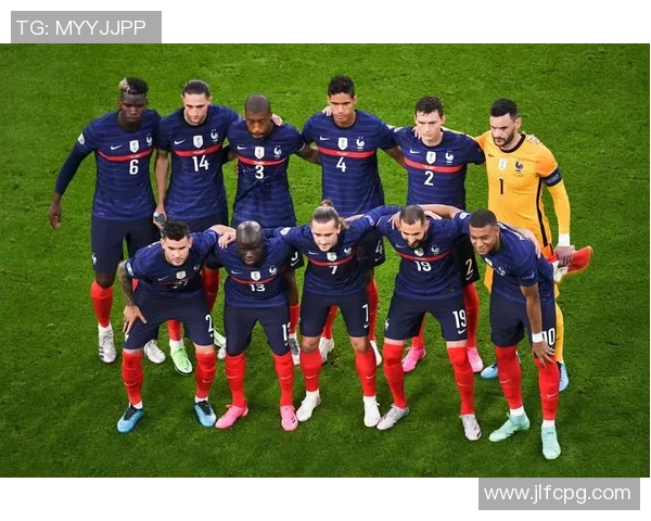 法国与丹麦精彩对决录像回放分析与精彩瞬间回顾