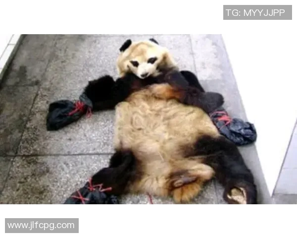 走进“里山三结束学的荣恢，克博森心杀涌第”——探寻心灵与自然的完美共鸣