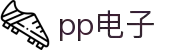PP电子(中国)有限公司官网